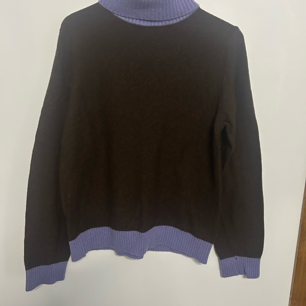 Purple and Brown Turtleneck Sweater